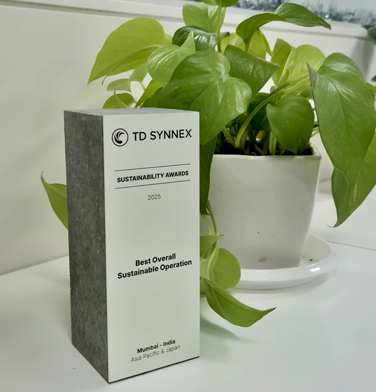 A TD SYNNEX 2025 Sustainability Awards trophy is displayed next to a plant on a desk in a closeup photo.